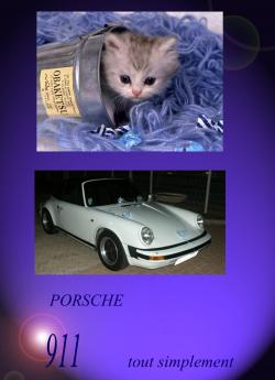 photo porsche 911 du concours photo