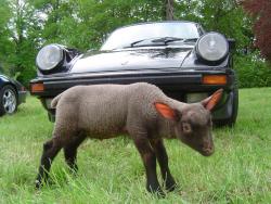 photo porsche 911 du concours photo