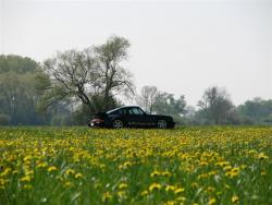 photo porsche 911 du concours photo