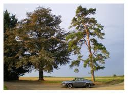 photo porsche 911 du concours photo