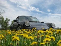 photo porsche 911 du concours photo