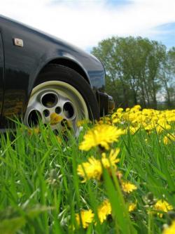 photo porsche 911 du concours photo