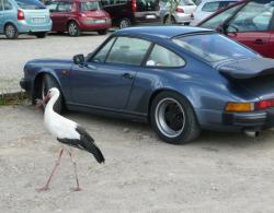 photo porsche 911 du concours photo