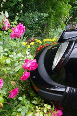 photo porsche 911 du concours photo