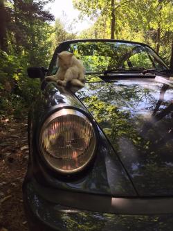 photo porsche 911 du concours photo