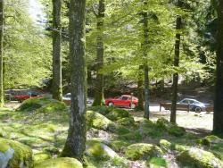 photo porsche 911 du concours photo