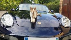 photo porsche 911 du concours photo