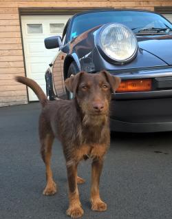 photo porsche 911 du concours photo