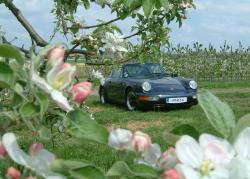 photo porsche 911 du concours photo