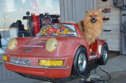 photo porsche 911 du concours photo