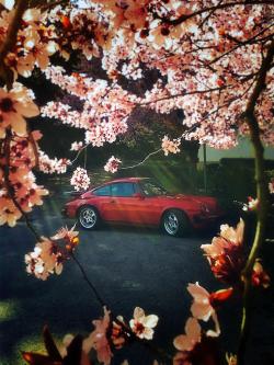 photo porsche 911 du concours photo