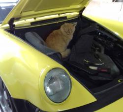 photo porsche 911 du concours photo