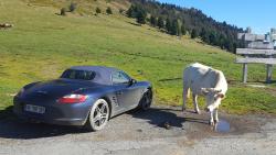 photo porsche 911 du concours photo