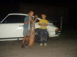 photo porsche 911 du concours photo