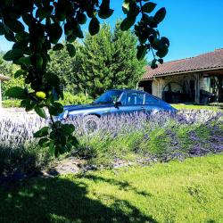 photo porsche 911 du concours photo