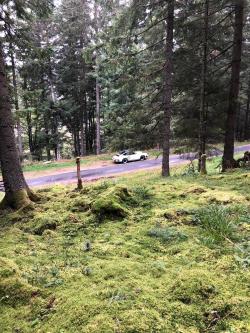 photo porsche 911 du concours photo