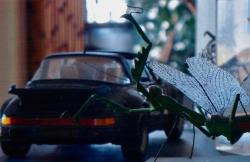 photo porsche 911 du concours photo