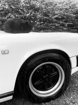 photo porsche du concours photo
