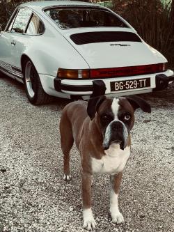 photo porsche du concours photo