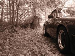 photo porsche 911 du concours photo