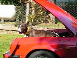 photo porsche 911 du concours photo
