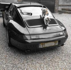 photo porsche 911 du concours photo