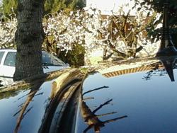 photo porsche 911 du concours photo