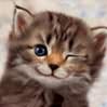 avatar de SC32A
