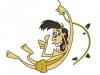 avatar de J George