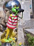 Que vois je ... Des grenouilles &agrave; Durbuy !