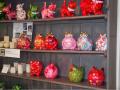 Plein de grenouilles, bient&ocirc;t un CP &agrave; Durbuy !