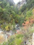 En chemin vers la mine d'argent