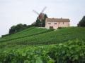 Moulin de Verzenay