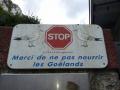 No comment!