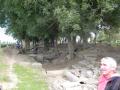 Beau terrain de jeux