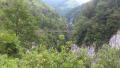 la passerelle
