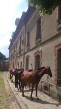 Pendant que les adultes roulent, les ados montent &agrave; cheval...