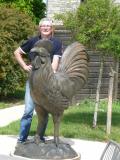 le coq  wallon !!  