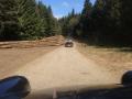 Incroyable ce Cyril, il a fait couper des sapins pour notre passage