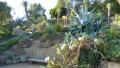 Jardin de Rayol