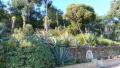 Jardin du Rayol (2)