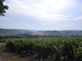 paysage