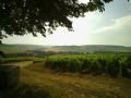 a perte de vue 