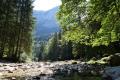 ...sur le belle nature...