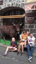 Ben oui il y a des vaches... c'est le Cantal 