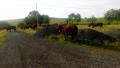 Race bobine ! 