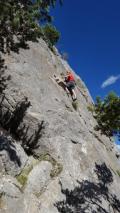 Cloclo en pleine grimpe 
