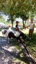 Cours d'&eacute;quitation par &Egrave;ve avec les enfants