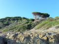 Le "Paradis Porsche avec le type G", c'est des paysages