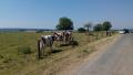 Arriv&eacute;e &agrave; la ferme